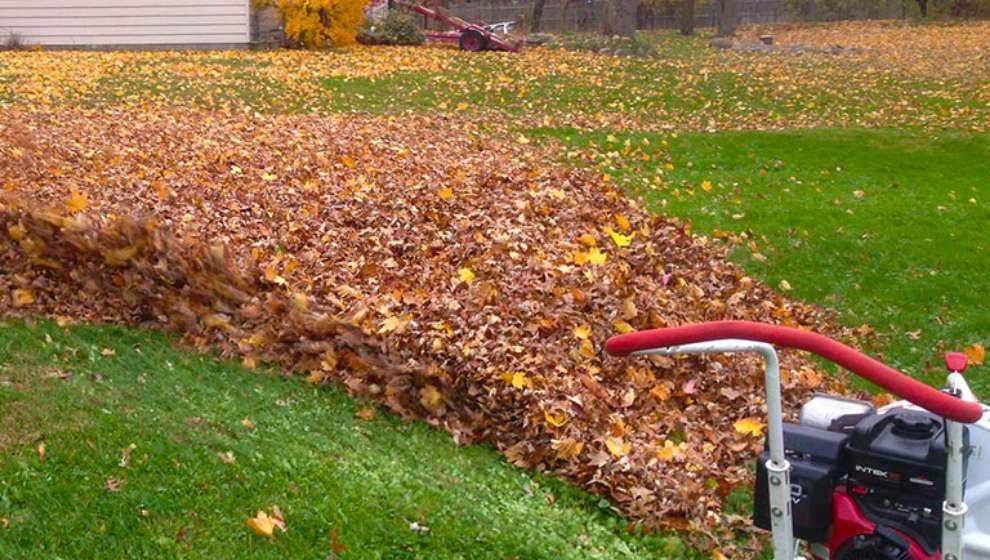 fall-cleanup