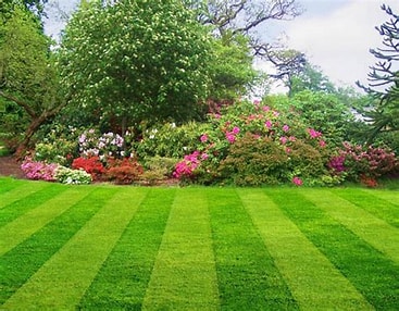 lawn003