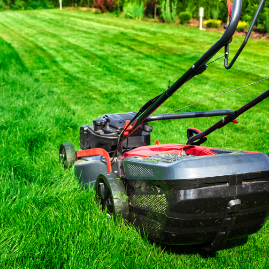 Lawn Mowing Edmonton