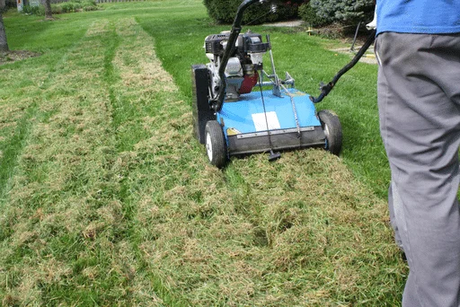 Power Raking Edmonton